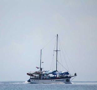 Лодка The Barrenjoey, капитан которой обнаружил пропавшего Арчибальда 