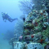Изображение подводный храм в Пемутеране