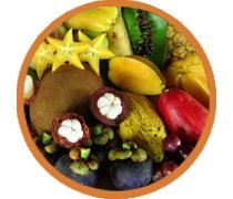 Картинка сувениры с Бали экзотические фрукты