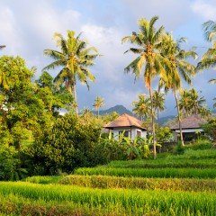Изображение деревня рядом с водопадом Алинг-алинг на Бали