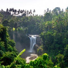 Изображение водопад Тегенунган Tegenungan Waterfall на Бали вид сверху