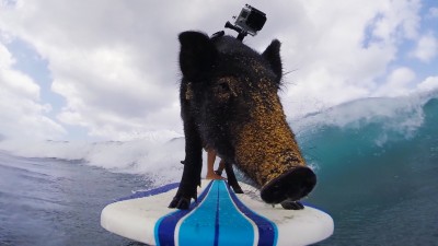 фото Как использовать GoPro во время серфинга