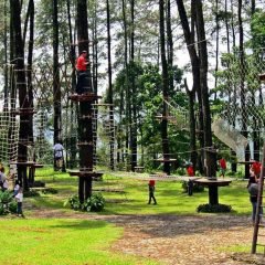 Изображение парк развлечений для детей и взрослых в ботаническом парке на Бали
