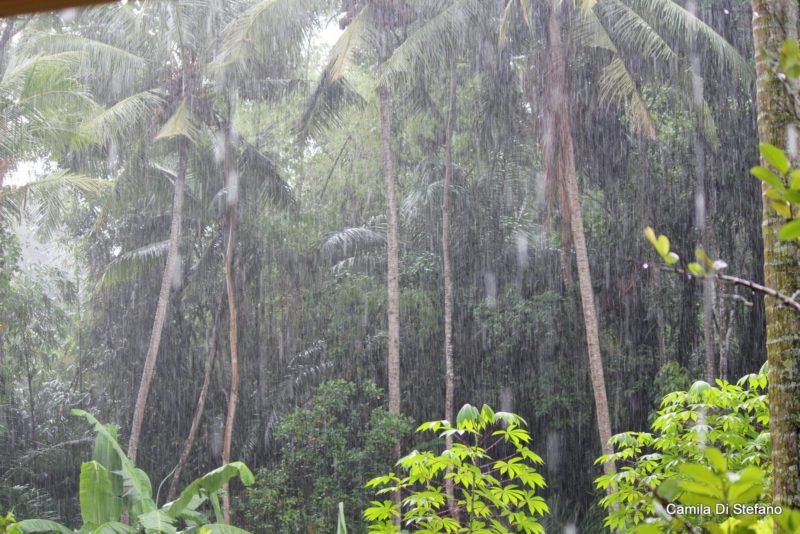 Фото Бали в сезон дождей